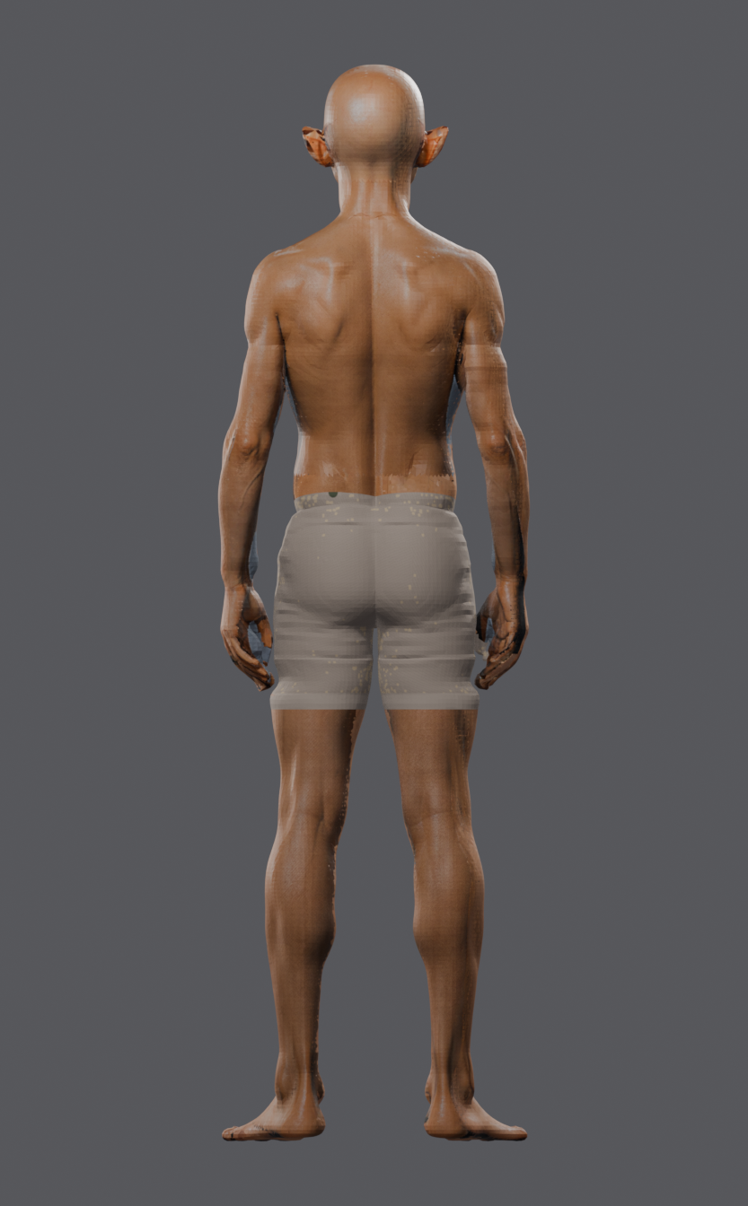 LIT_BACK.png