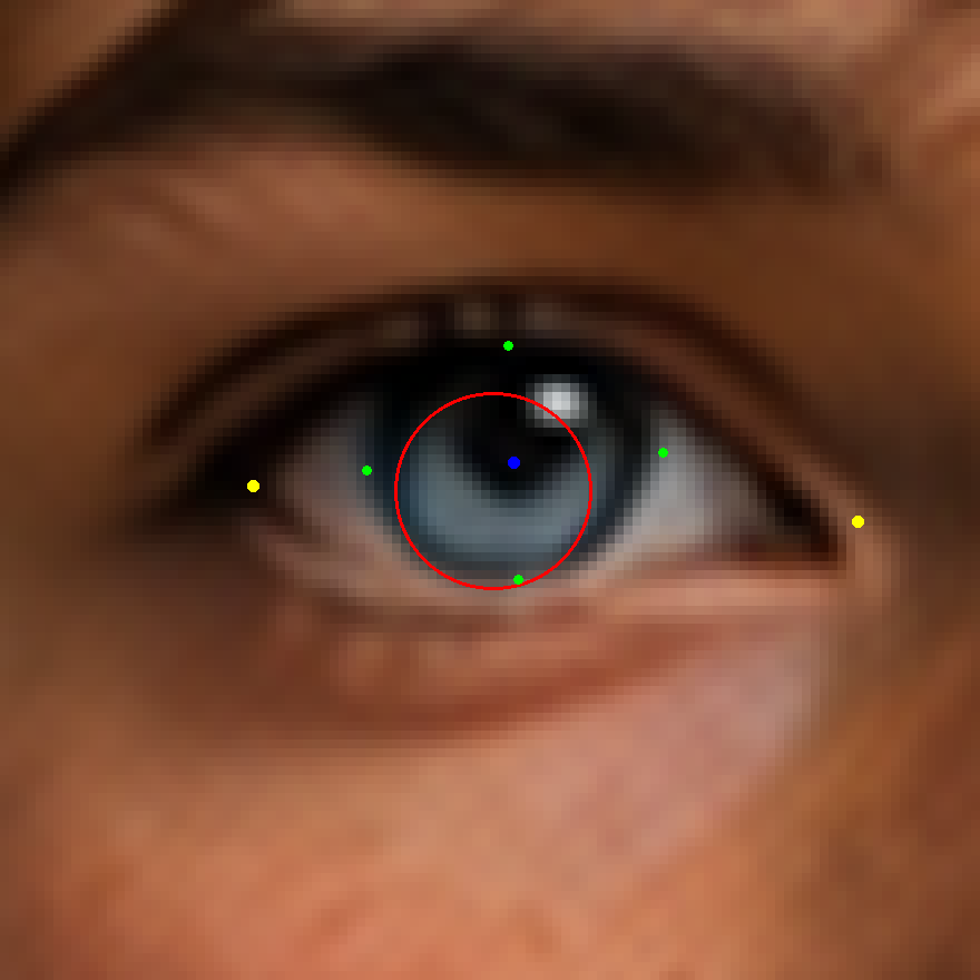 EYE_CROP_ANNOT.png