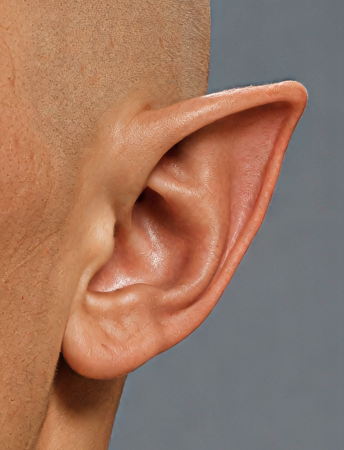 LOOK_V4_BUST34_EAR_1to1.png