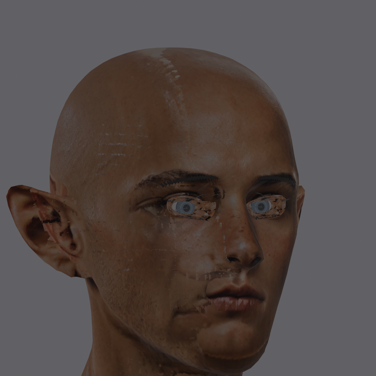 A_LANDED_az-025.png
