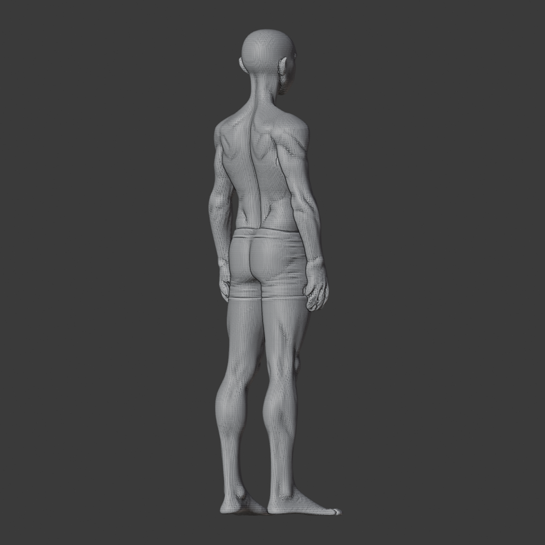 TRY_bicep_relaxed_az135.png