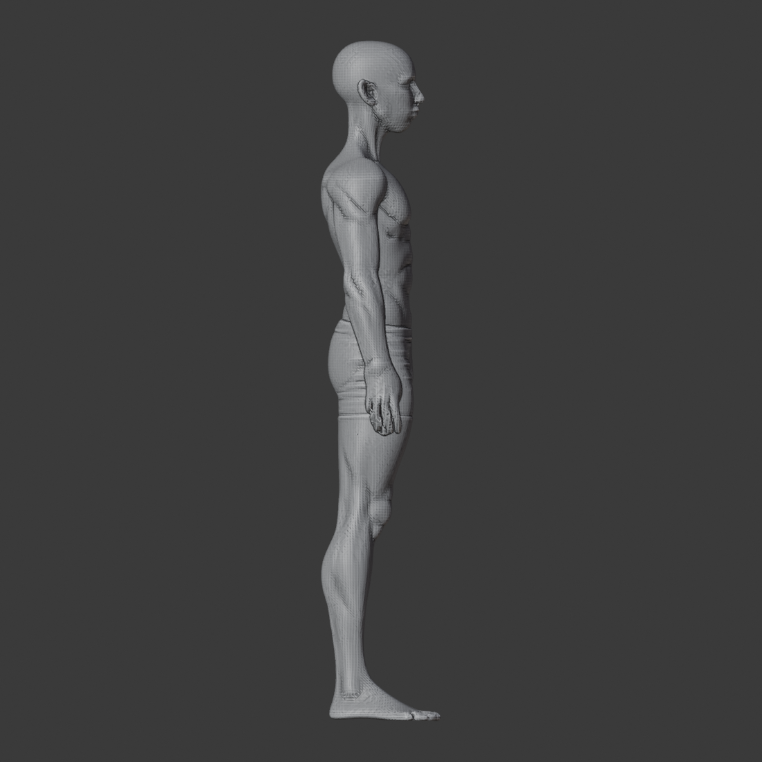 SOLO_neck_base_az090.png