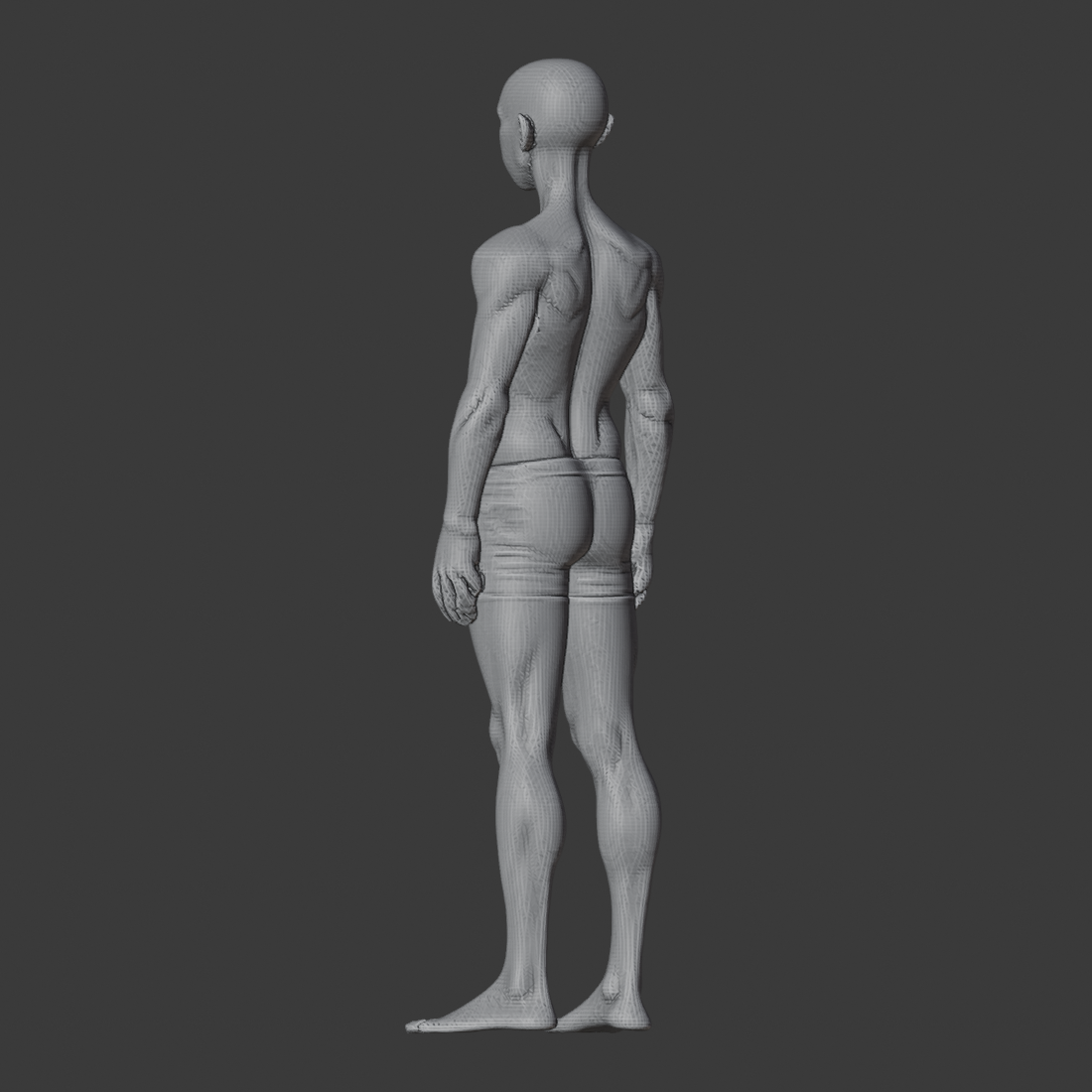 SOLO_neck_base_az225.png