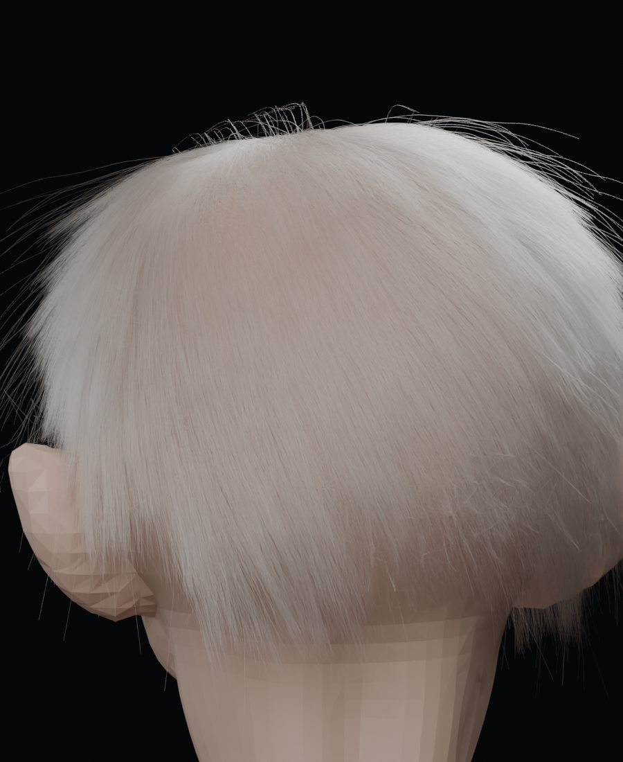 04_BACK.png