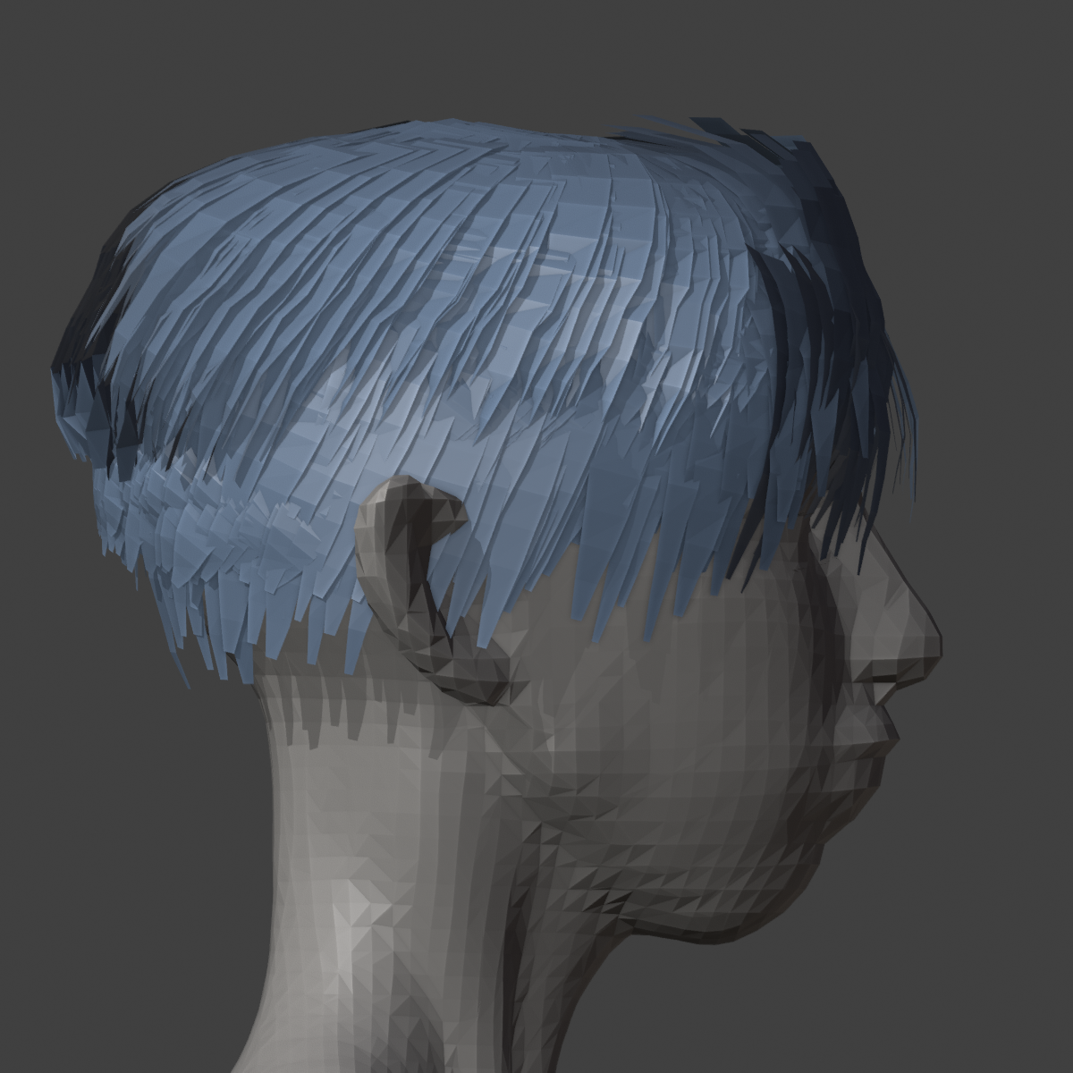 06_HEAD_PROFILE.png