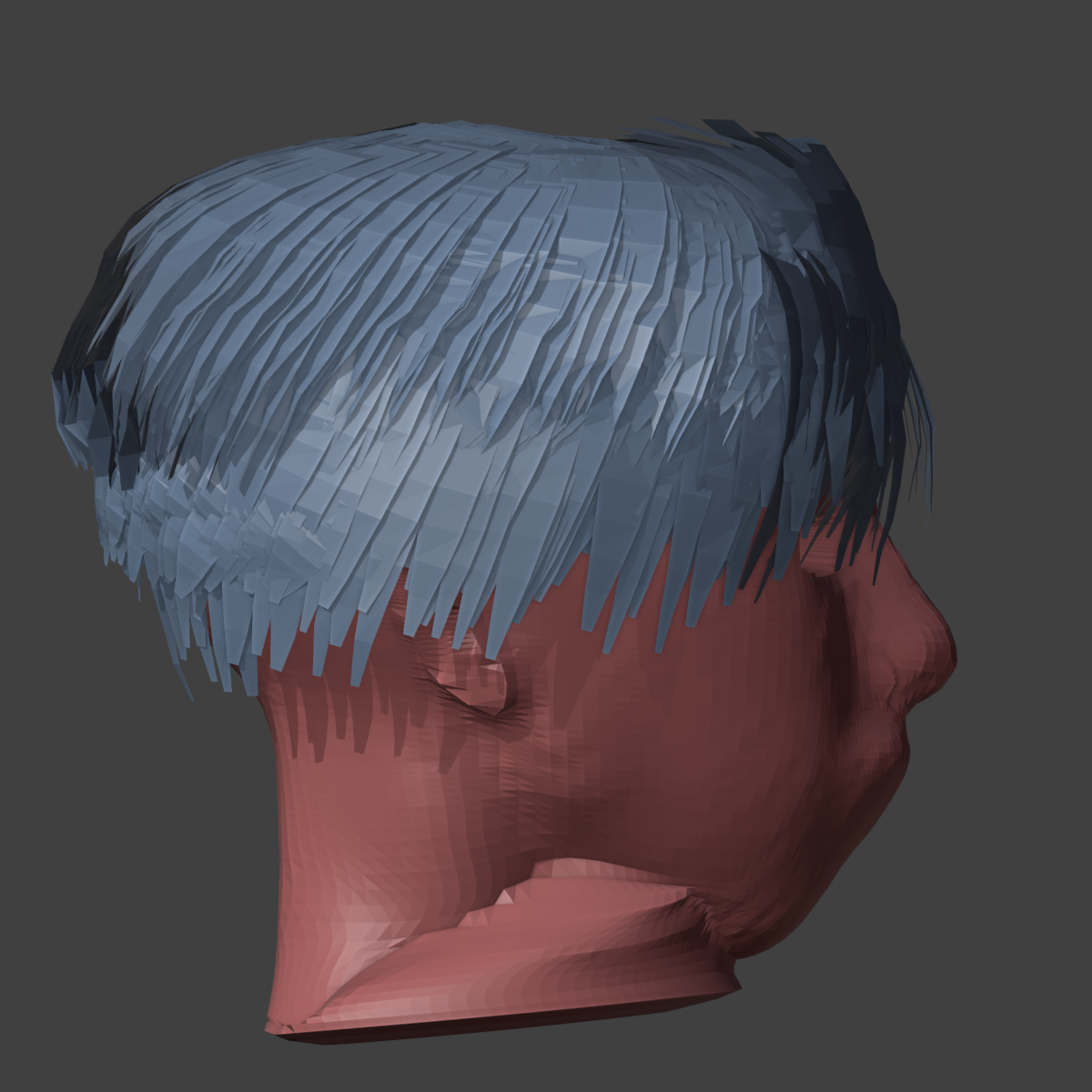 06_HEAD_PROFILE.png