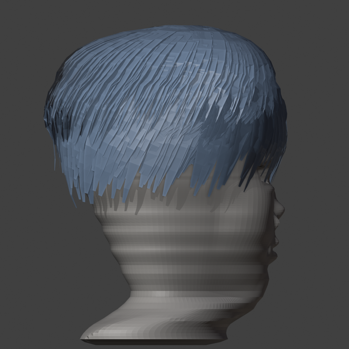 06_HEAD_PROFILE.png