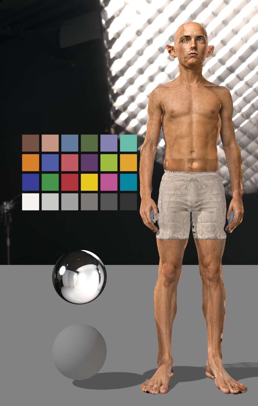 A14_V3_JUDGE_B_HDRI_ROTATION_judge_FRONT_az000_hdr135.png