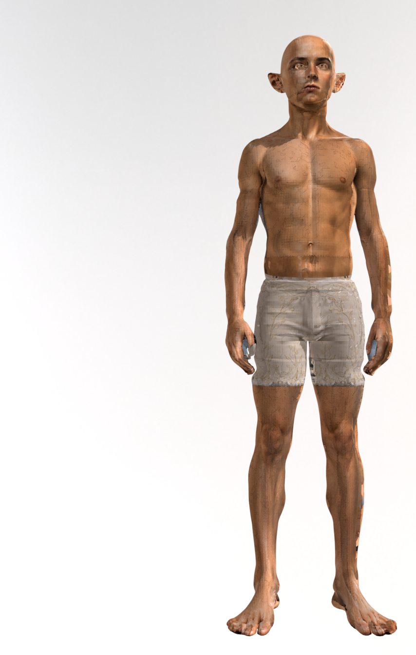 A14_V3_PLAIN_A_SUBJECT_ROTATION_judge_FRONT_az000_hdr000.png
