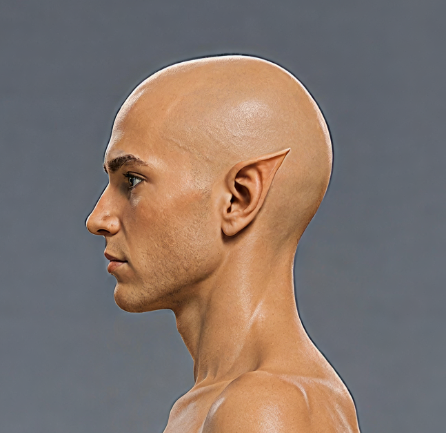 A14_V3_HEAD_SIDE_PLATE_NATIVE.png
