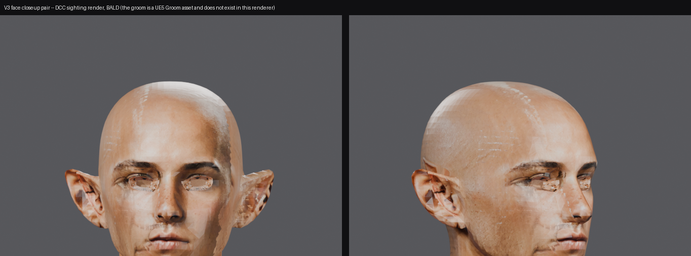 V3_FACE_CLOSEUP_PAIR.png