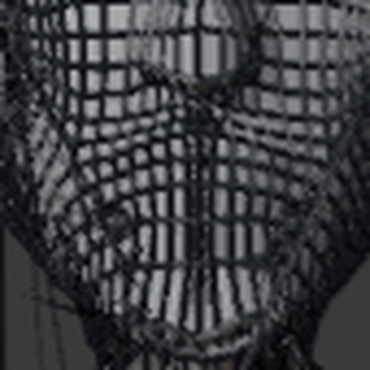 WRAP_V1_CROP_MOUTH.png