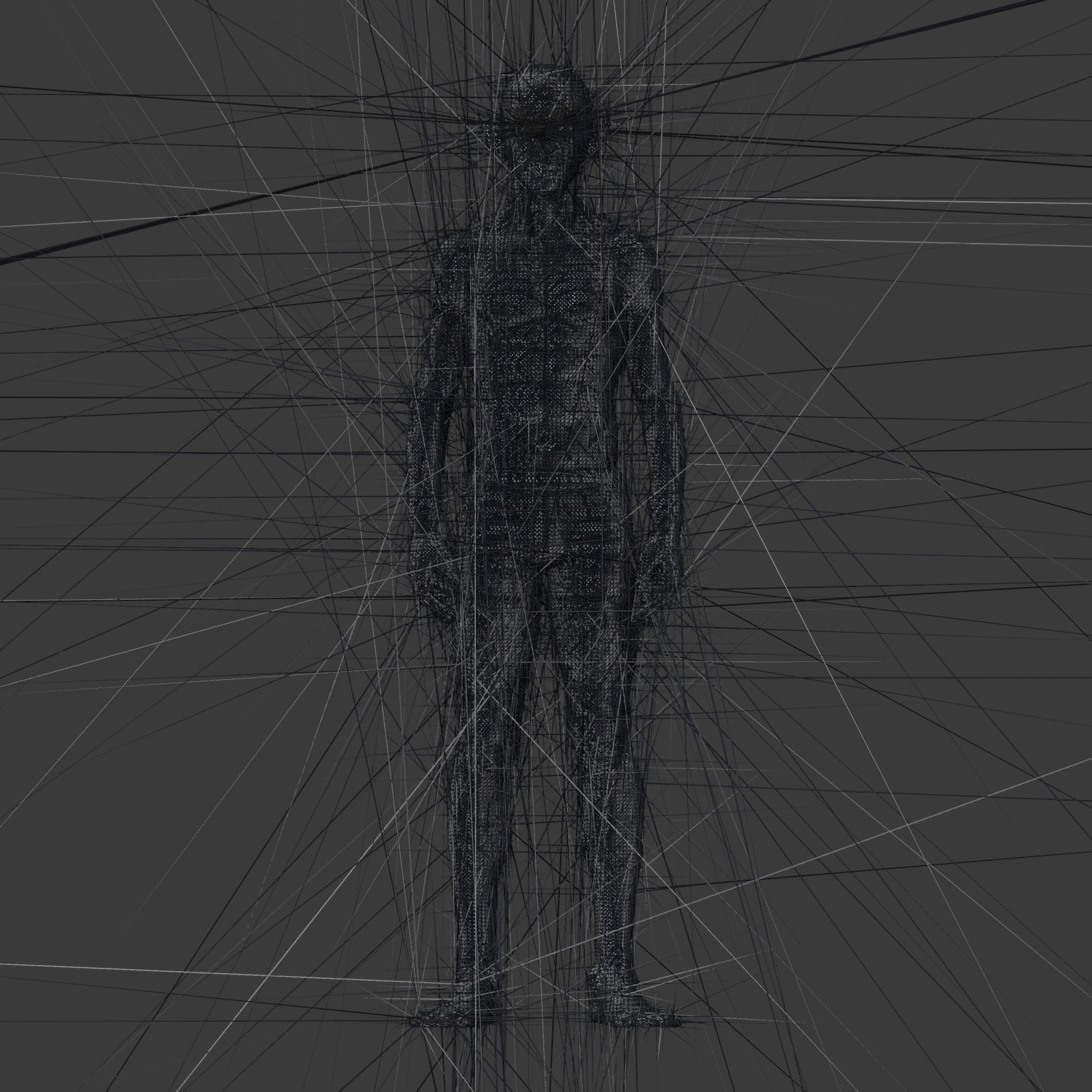 SUBJECT_wire_front.png