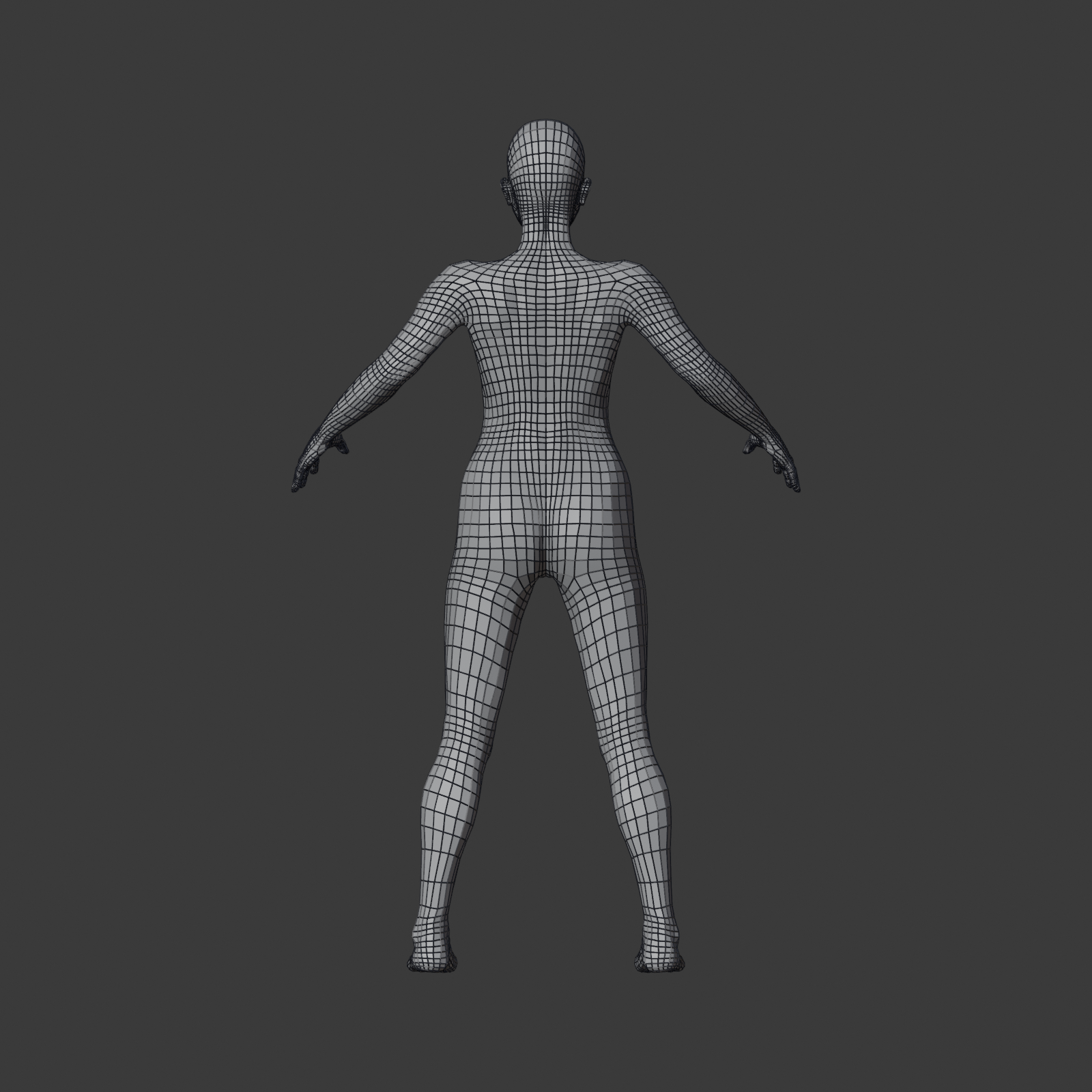 TEMPLATE_wire_front.png