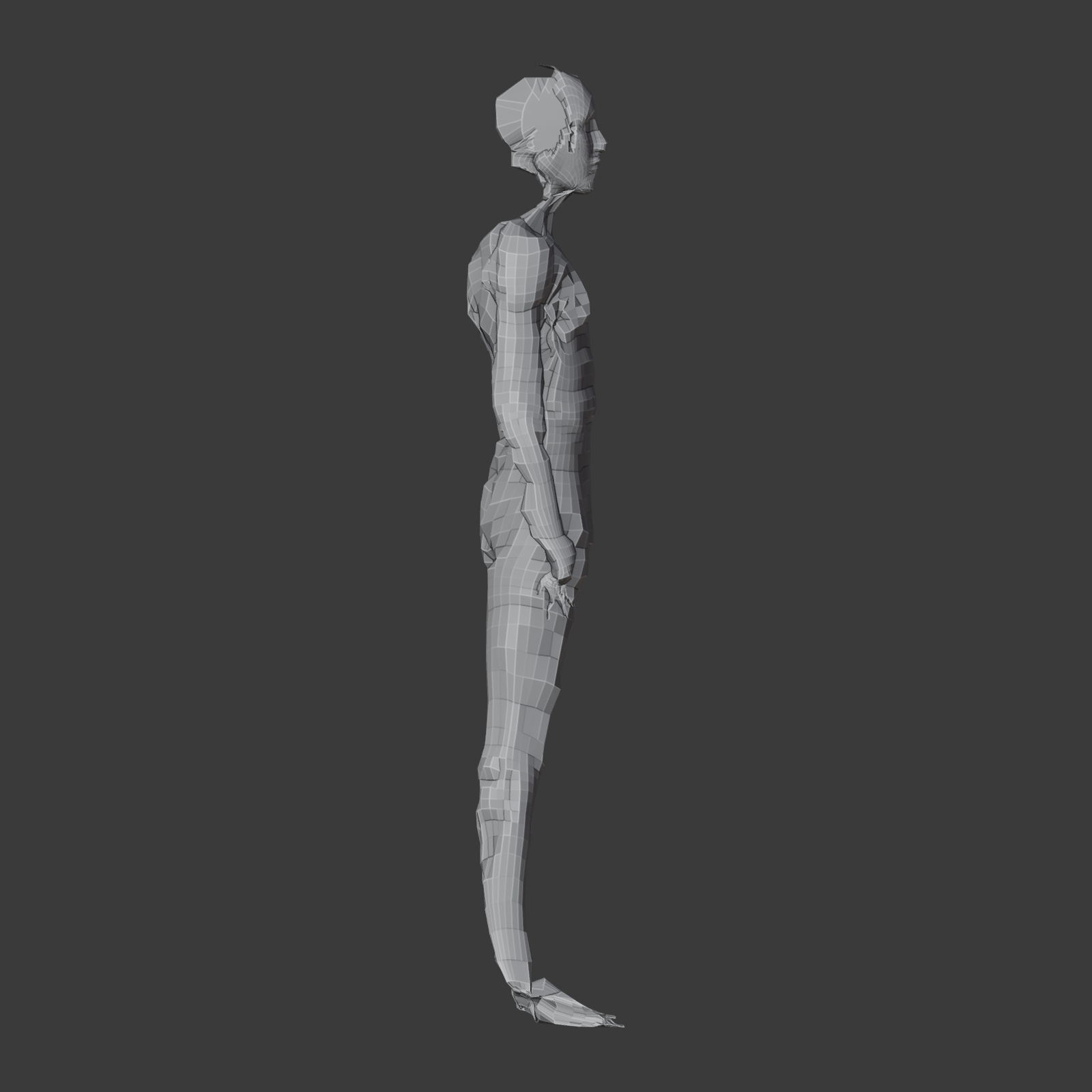 WRAP_side.png