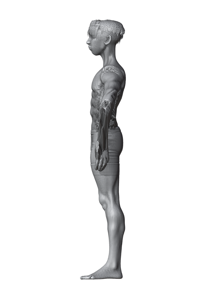 ROM_01_shoulder_abduct_side.png