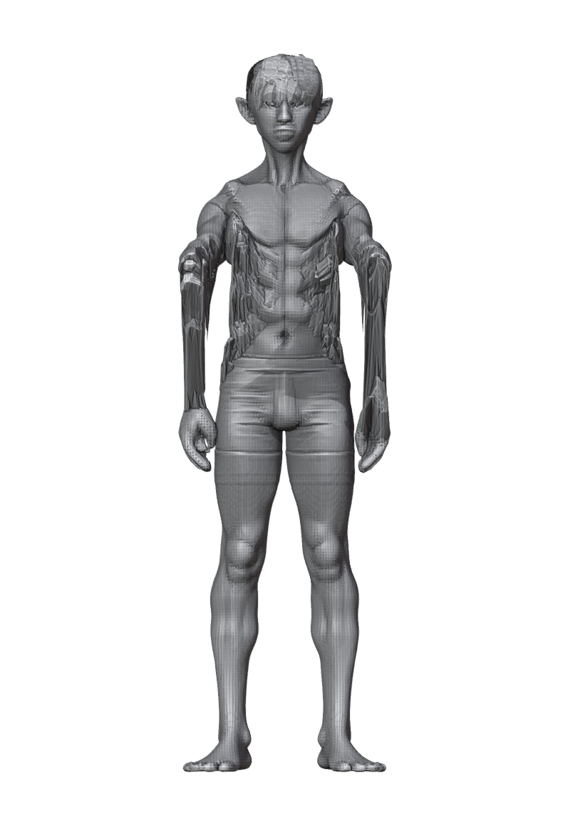 ROM_02_shoulder_raise_fwd_front.png