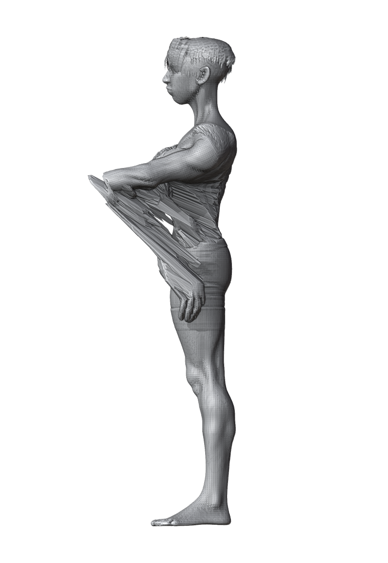 ROM_02_shoulder_raise_fwd_side.png