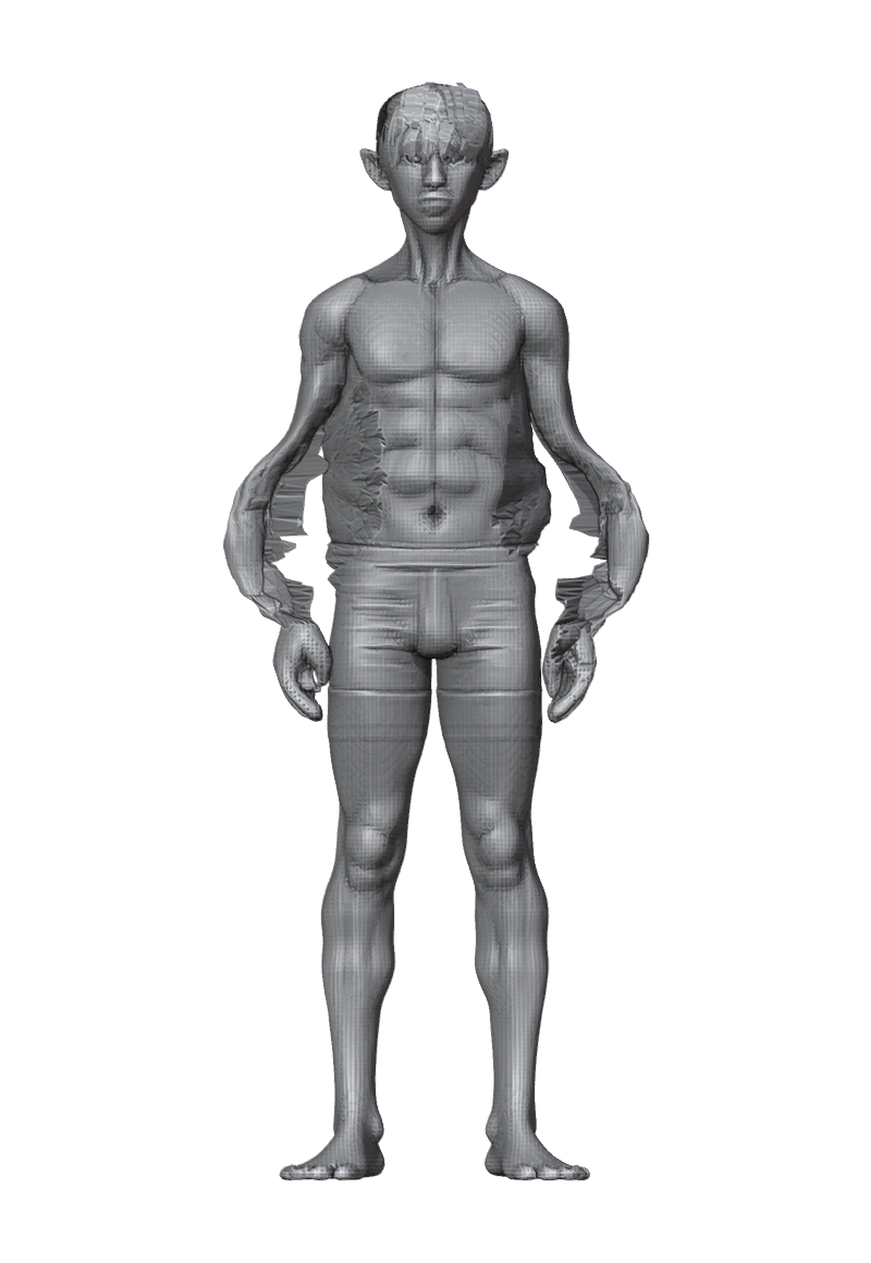 ROM_03_elbow_flex_front.png