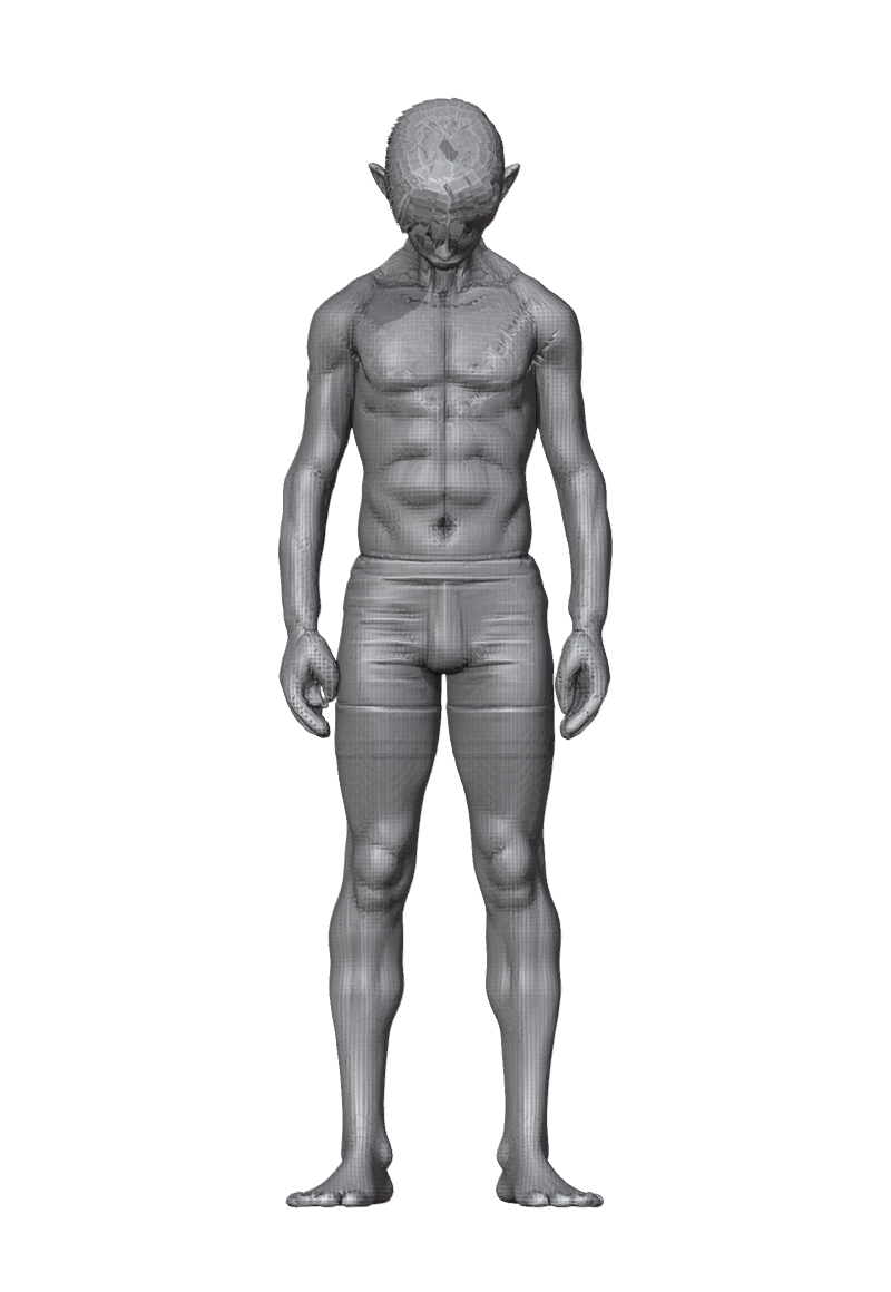 ROM_05_neck_pitch_front.png