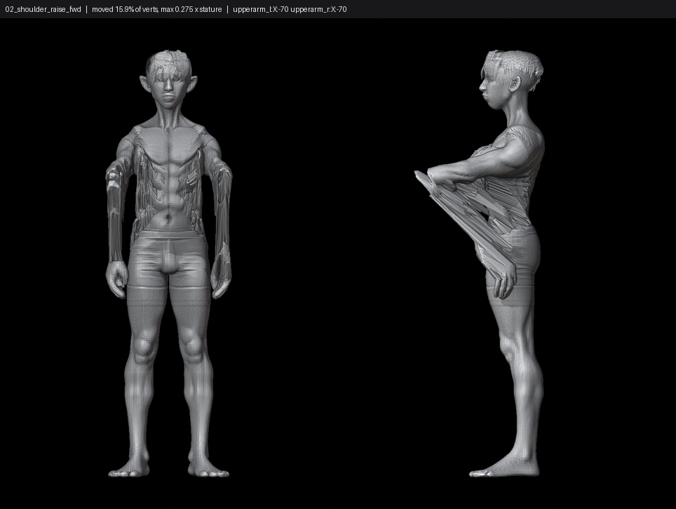 SHEET_02_shoulder_raise_fwd.png