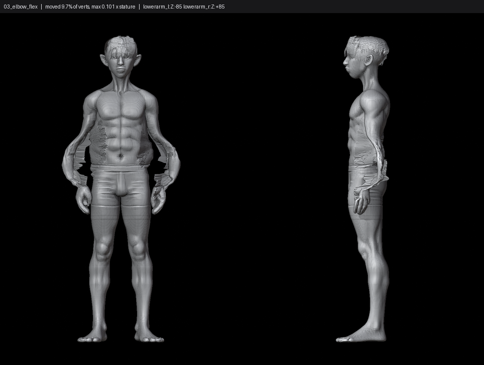 SHEET_03_elbow_flex.png