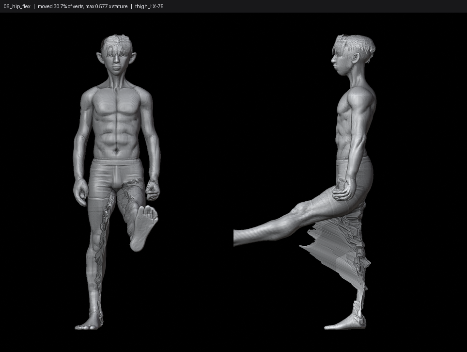 SHEET_06_hip_flex.png