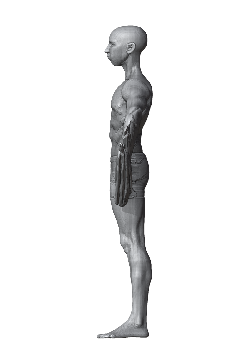 ROM_01_shoulder_abduct_side.png