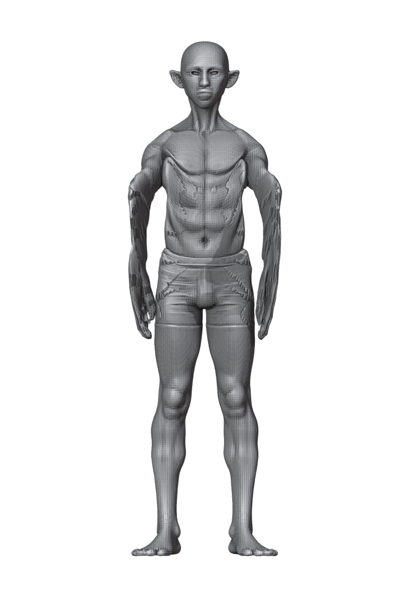 ROM_02_shoulder_raise_fwd_front.png