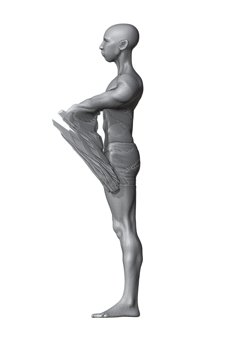 ROM_02_shoulder_raise_fwd_side.png