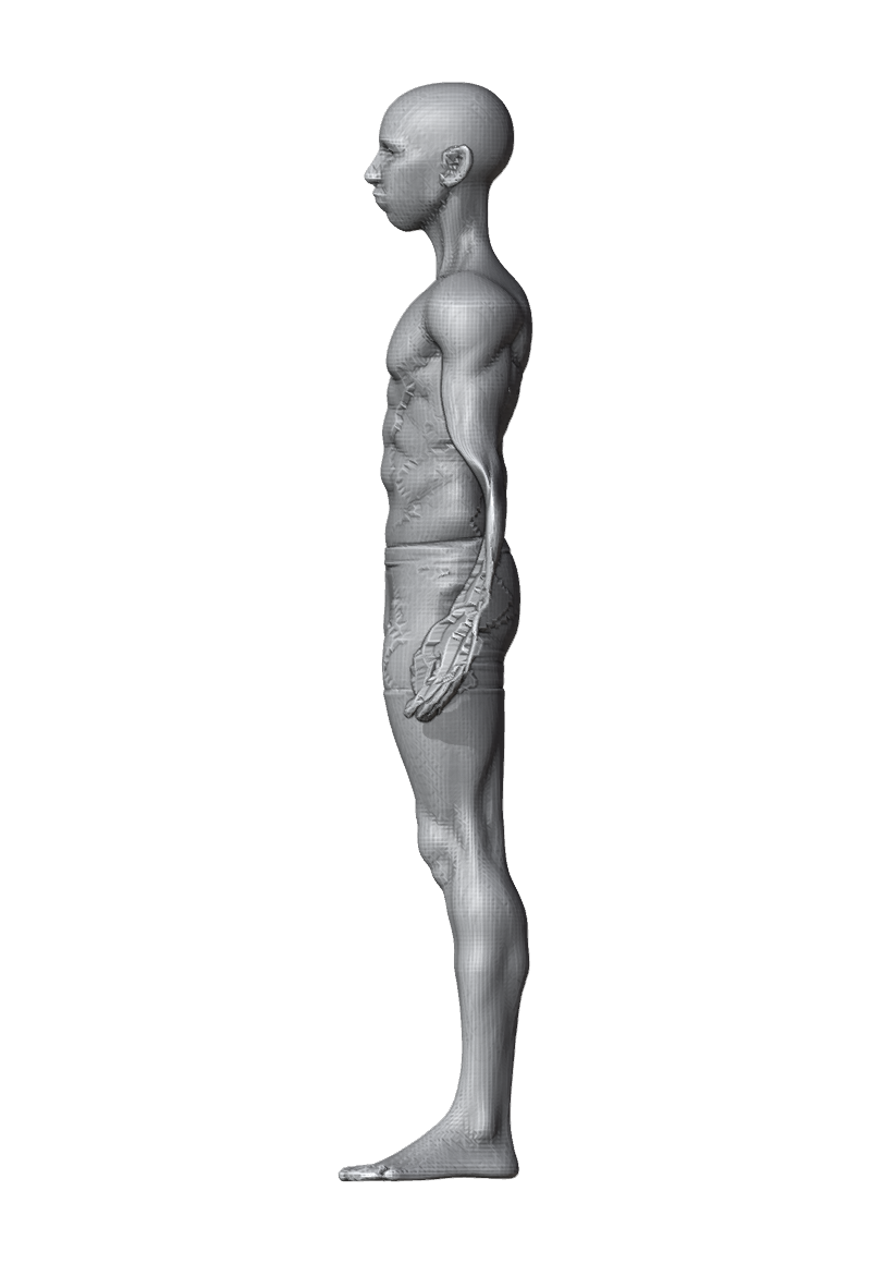 ROM_03_elbow_flex_side.png