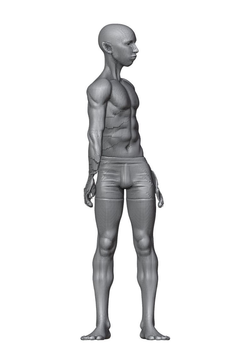 ROM_08_spine_twist_front.png
