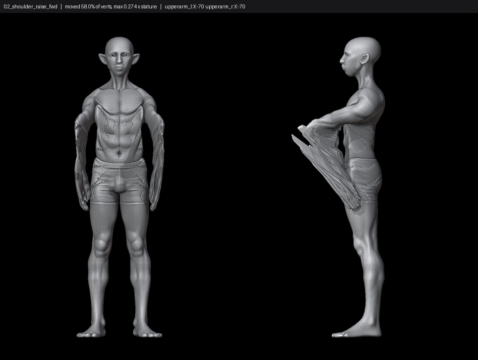 SHEET_02_shoulder_raise_fwd.png