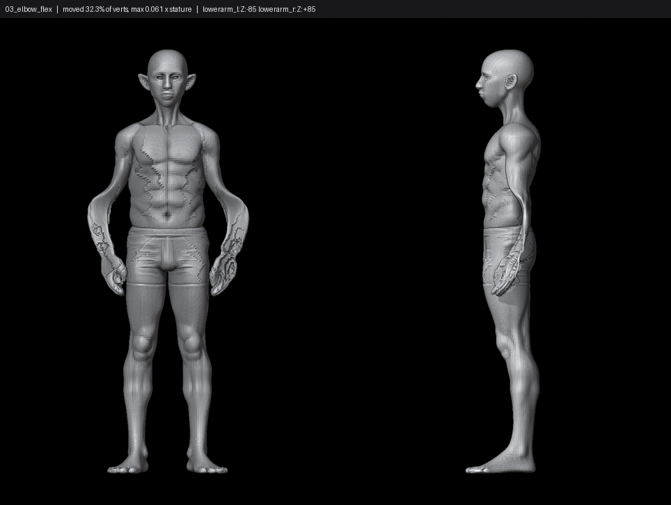 SHEET_03_elbow_flex.png