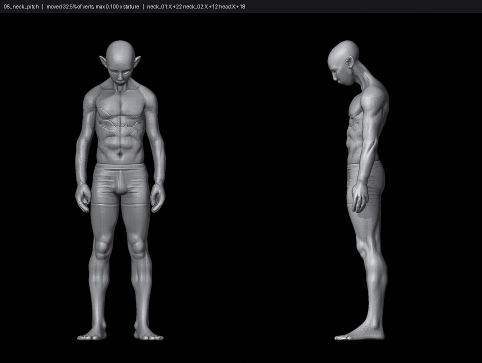 SHEET_05_neck_pitch.png