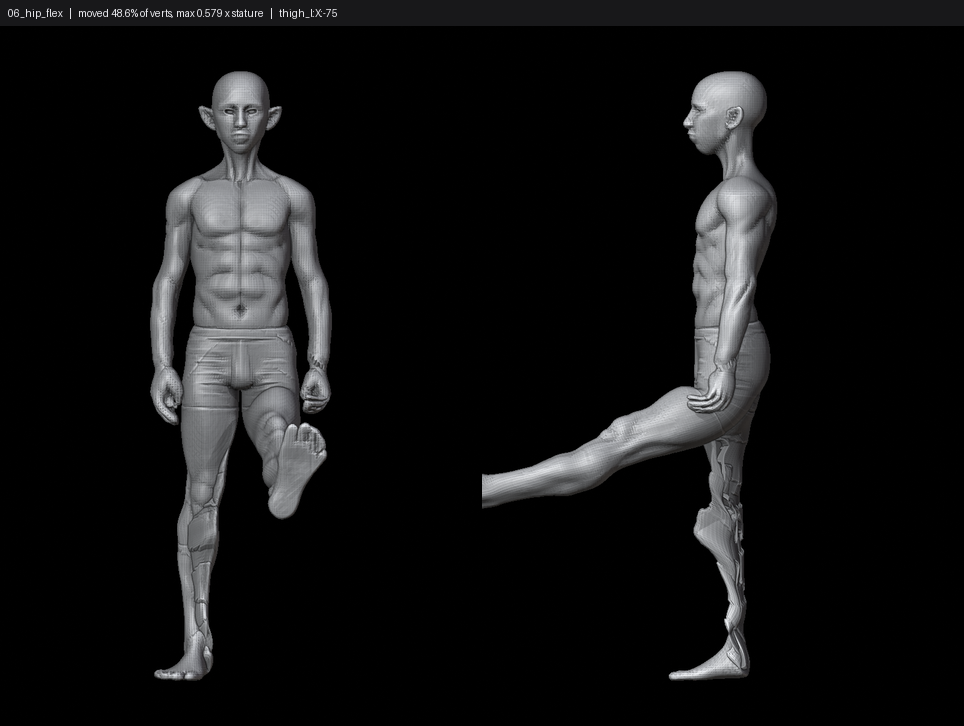 SHEET_06_hip_flex.png