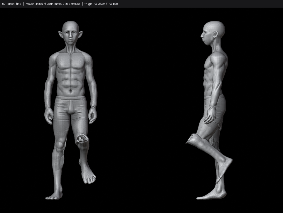SHEET_07_knee_flex.png