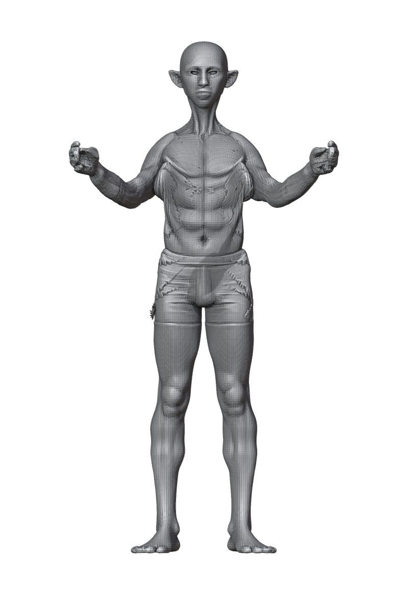 ROM_02_shoulder_raise_fwd_front.png