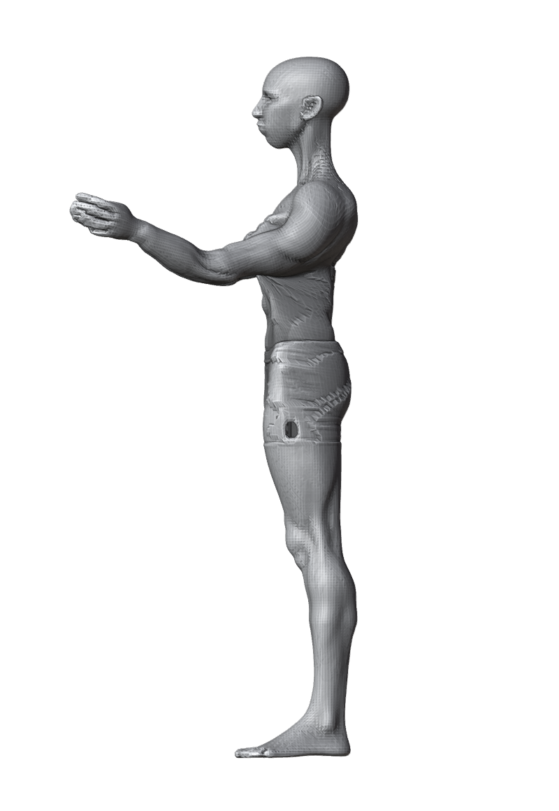 ROM_02_shoulder_raise_fwd_side.png