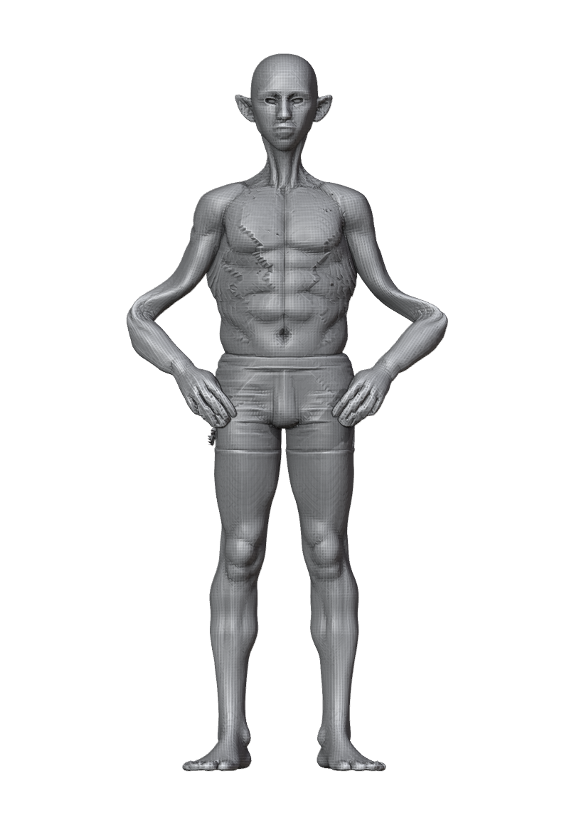 ROM_03_elbow_flex_front.png