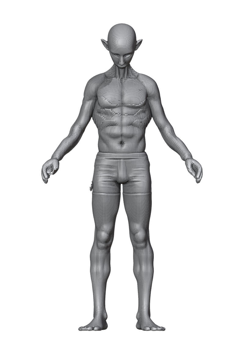 ROM_05_neck_pitch_front.png