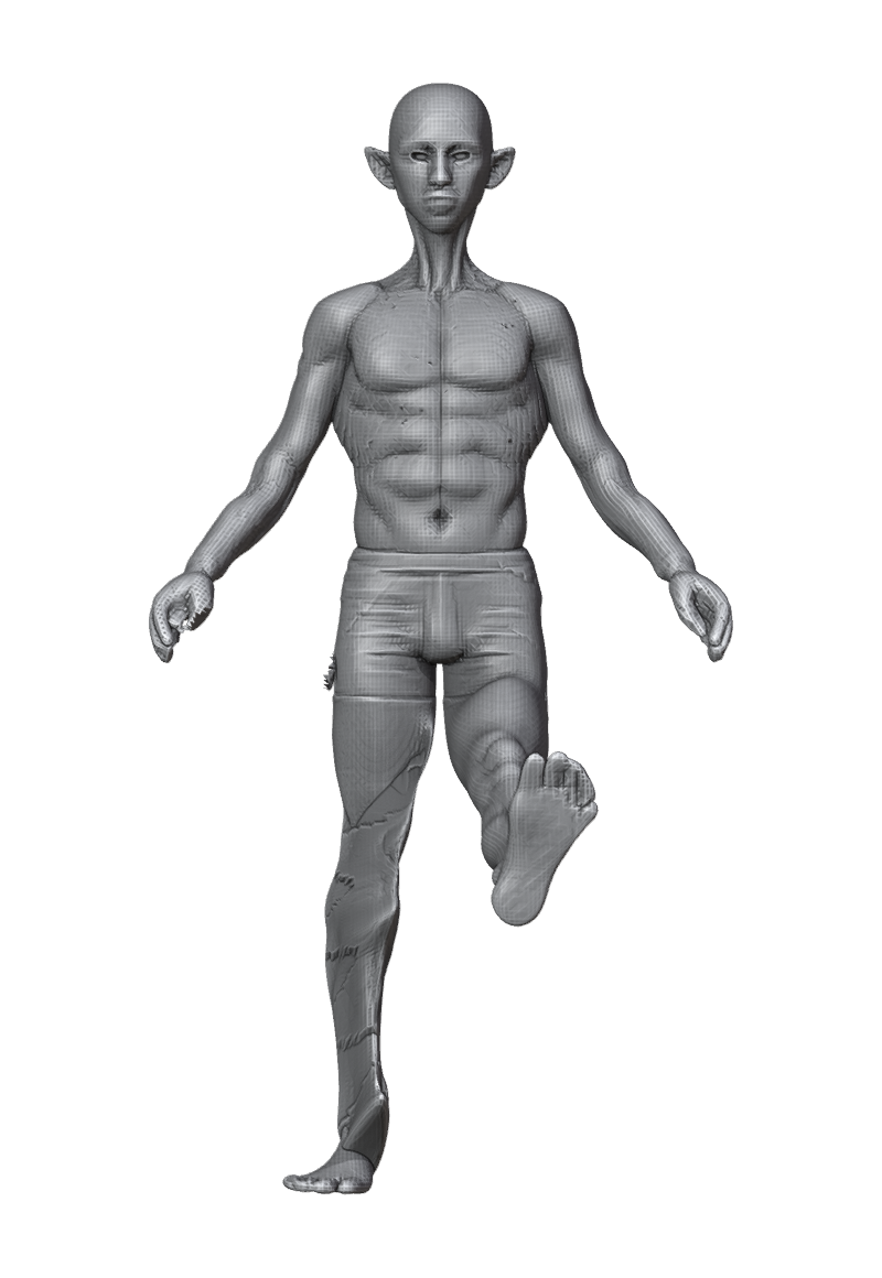 ROM_06_hip_flex_front.png