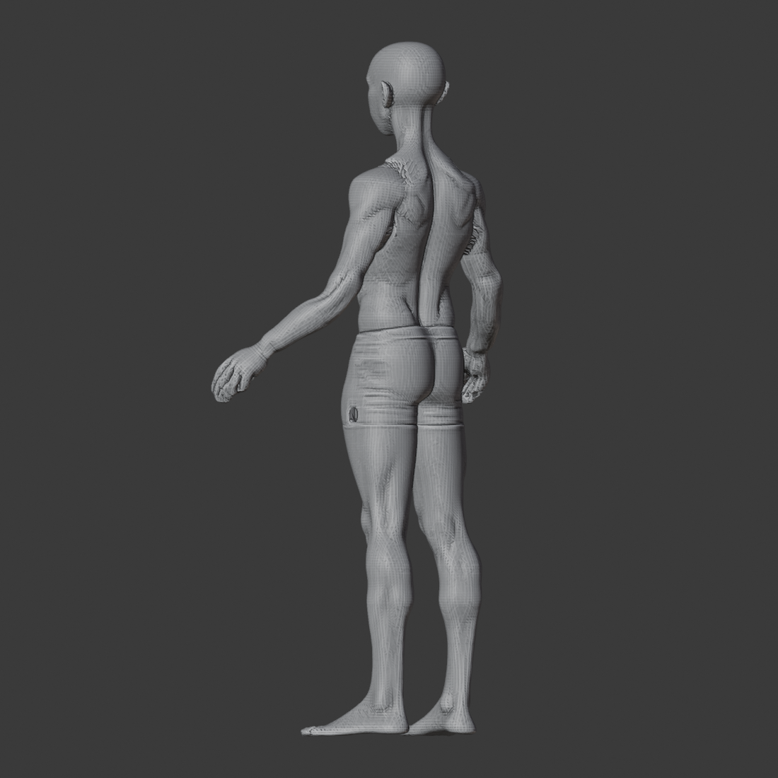 APOSE_MESH_az225.png