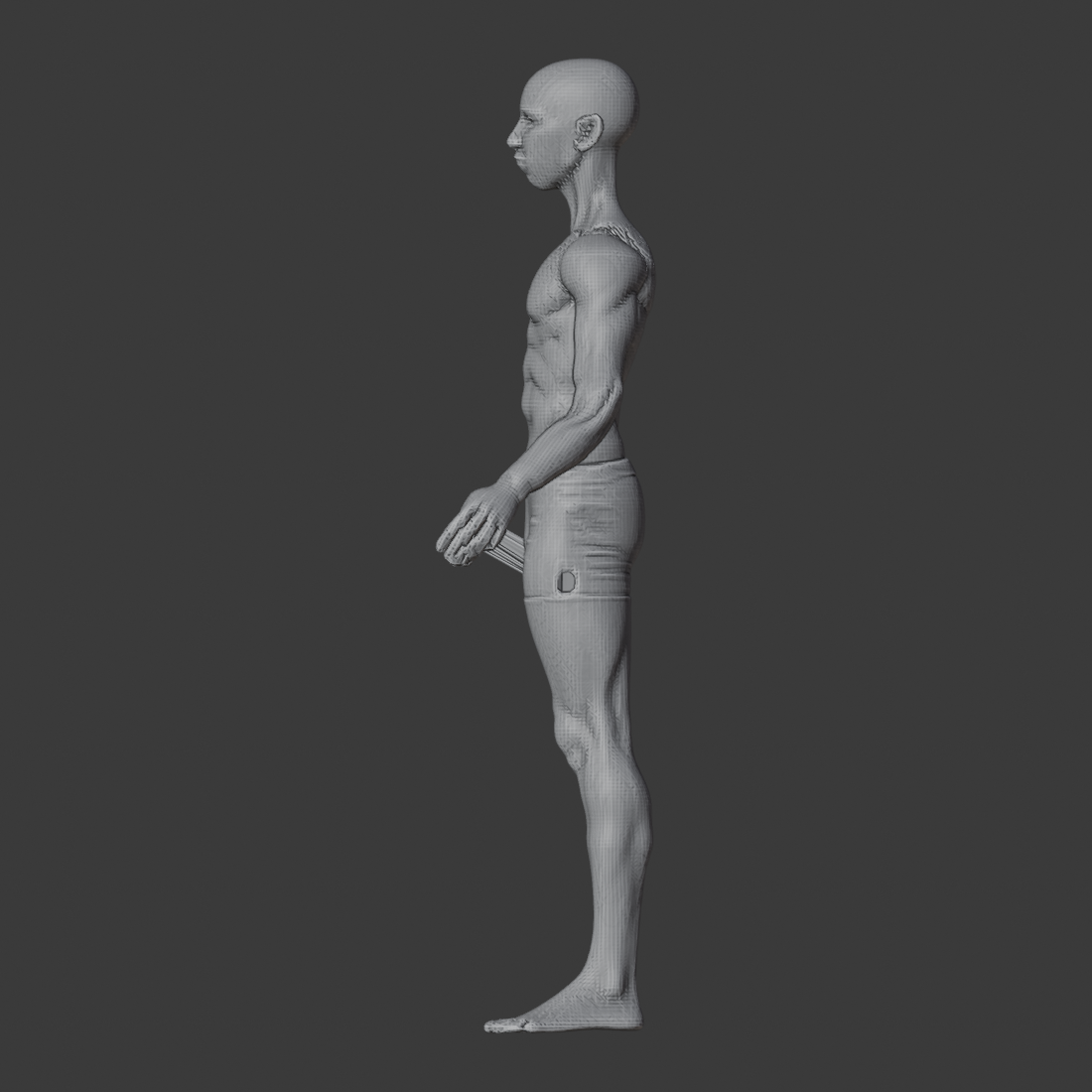 APOSE_MESH_az270.png