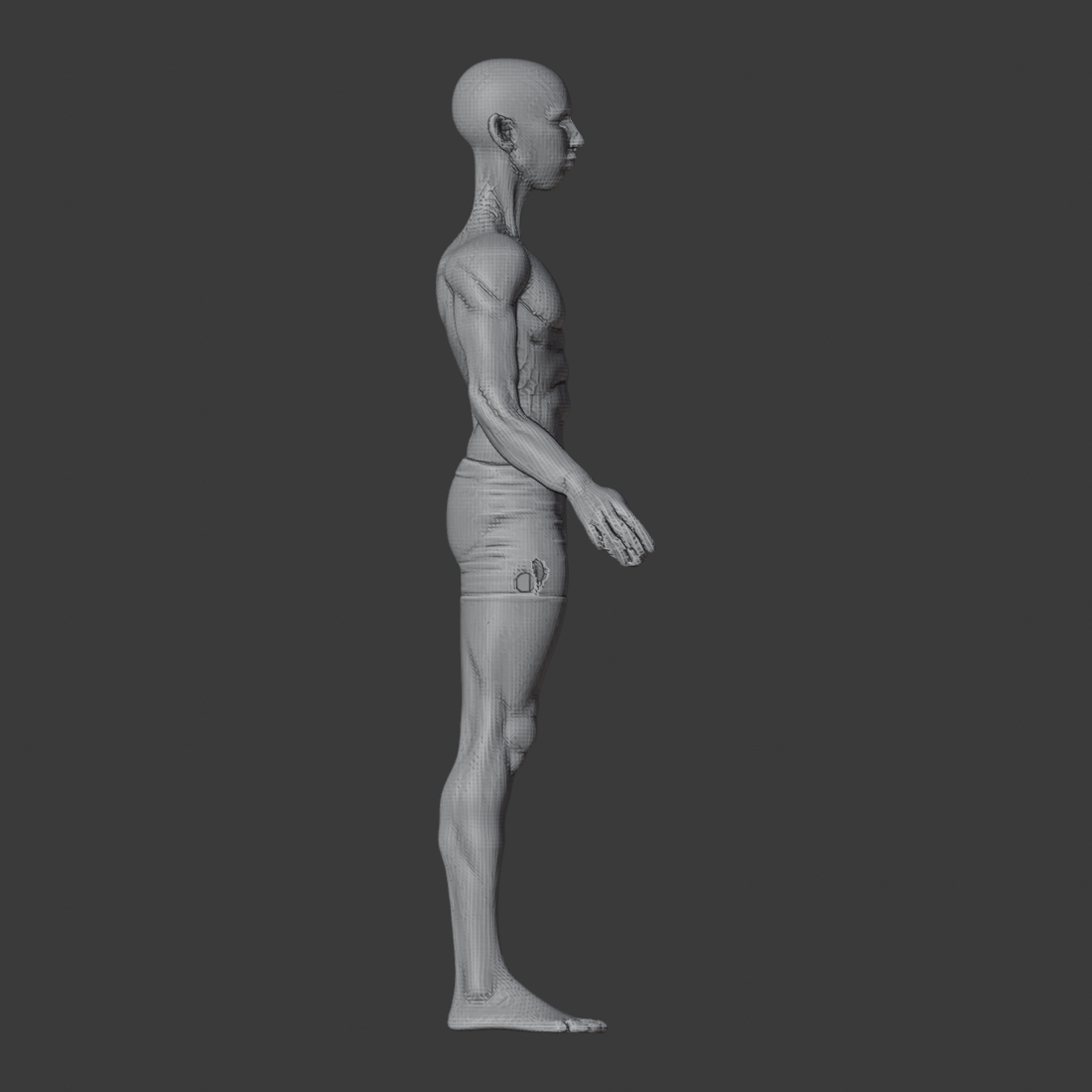 APOSE_MESH_v2_az090.png