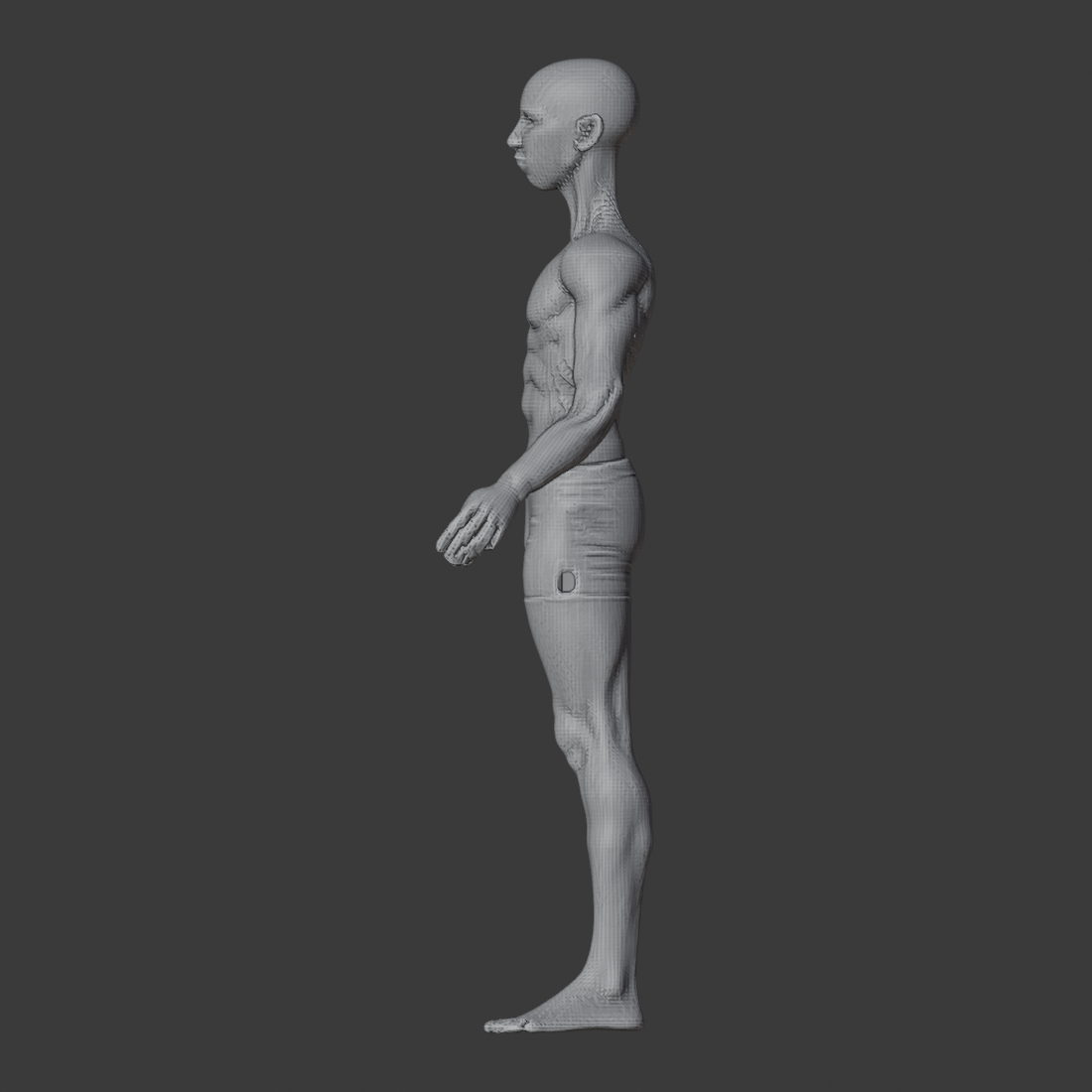 APOSE_MESH_v2_az270.png