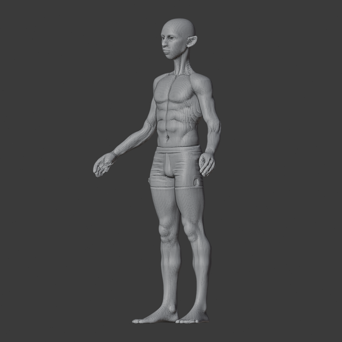 APOSE_MESH_v2_az315.png