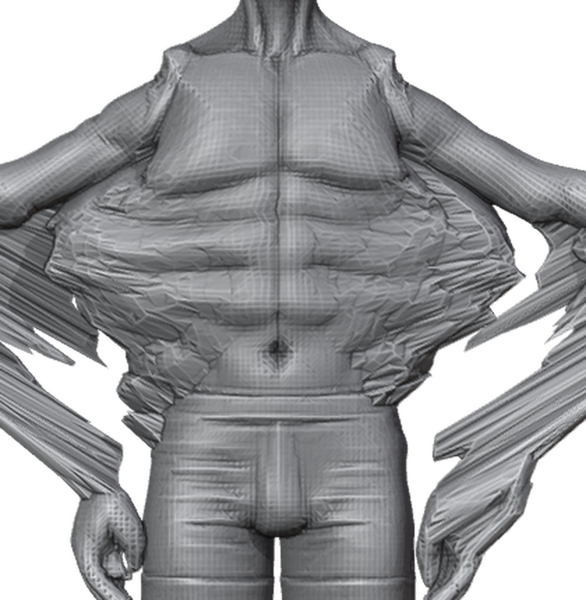 _CMP_DONOR_torso.png
