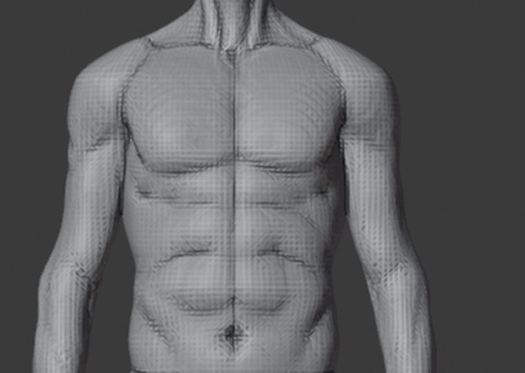 _ZOOM_BASELINE_shoulders.png
