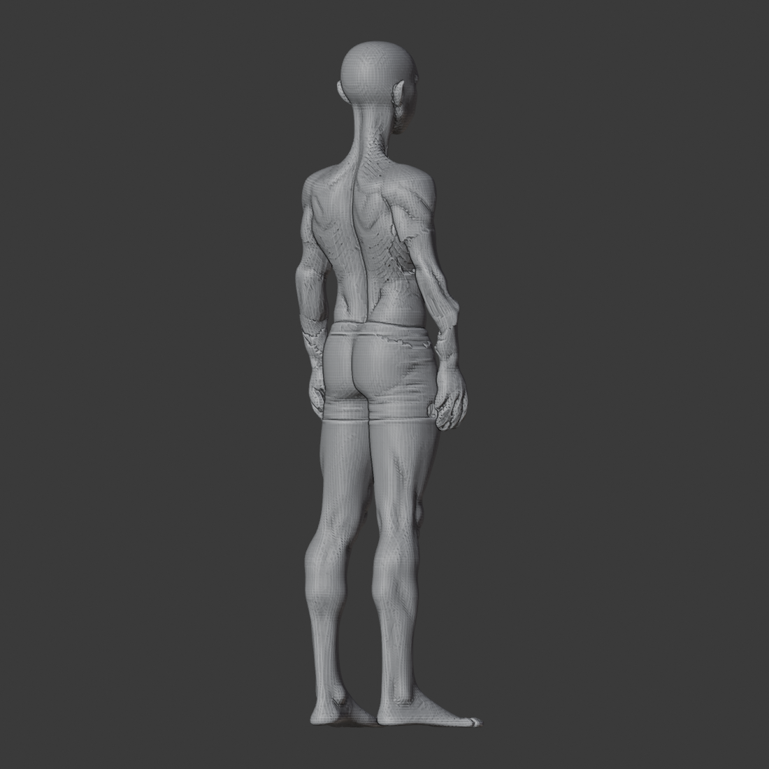 V21_BOUNDED_ROUNDTRIP_az135.png